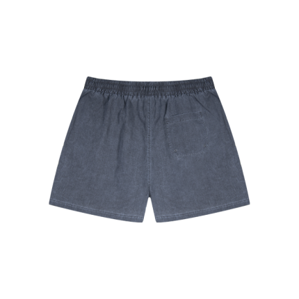 Deputy Department Bade in Grau Shorts